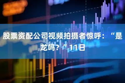 股票资配公司视频拍摄者惊呼：“是龙吗？”11日
